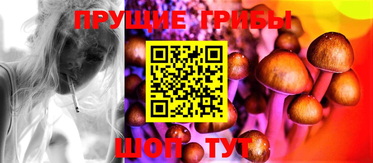 Галлюциногенные грибы MAGIC MUSHROOMS Кудымкар