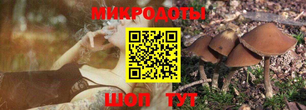 Галлюциногенные грибы Psilocybine cubensis  Вход с VPN  купить наркотик  Кудымкар 